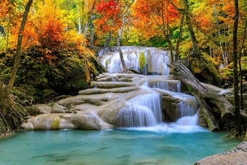 Learn from Nature & History Stress Solutions in India Punjab Ludhiana Canada Relationship Stress Consultant